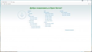Пример как будет выглядеть localhost