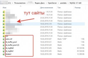 БД.jpg