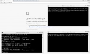 openserver.jpg