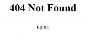 Nginx-1.17 404 ошибка